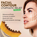 Lymphatic Facial Brush Massage